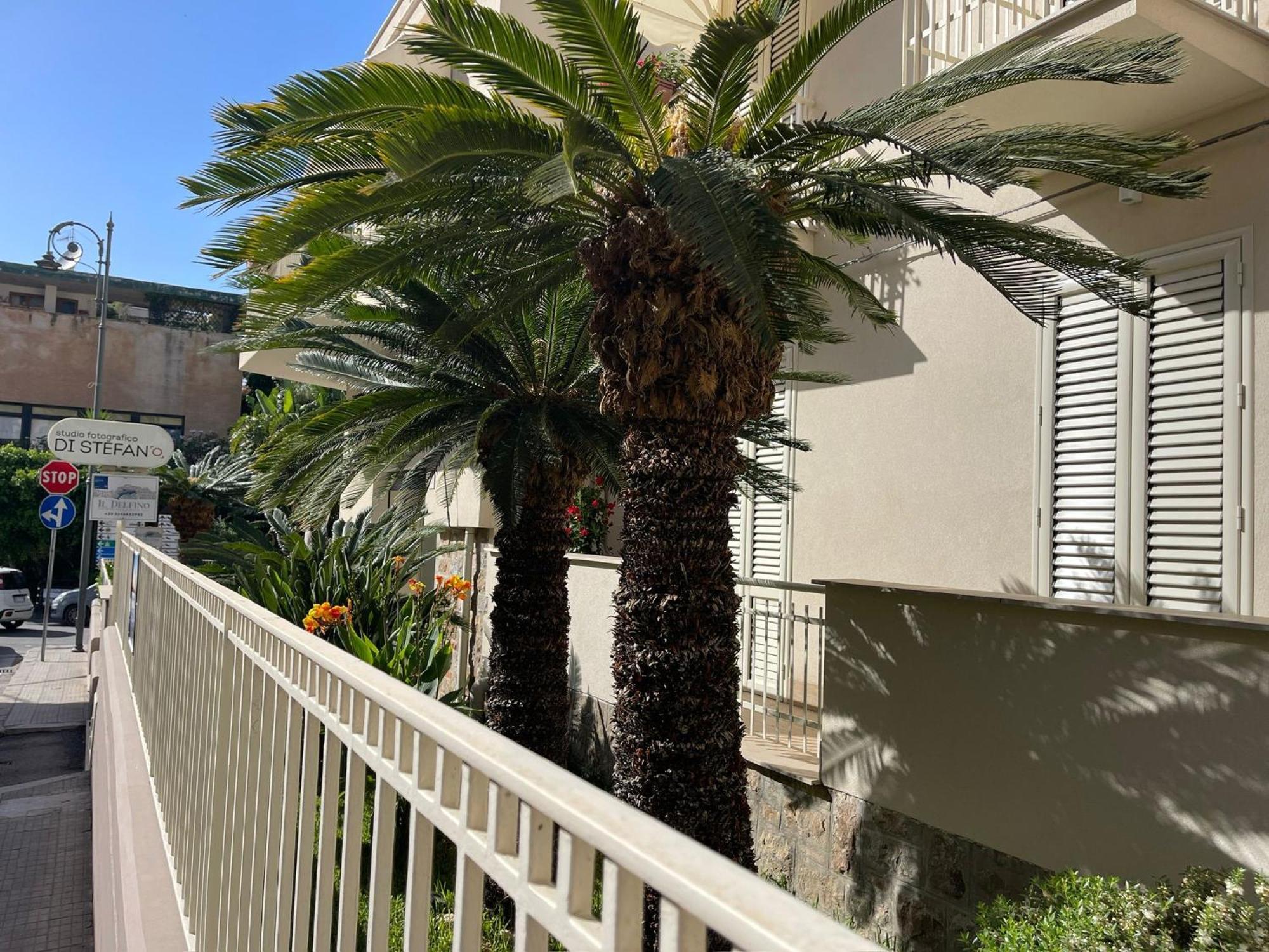 Il Delfino Holiday House Cefalu Exterior photo